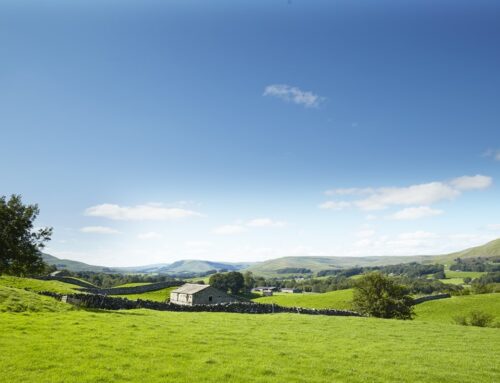 BOOK BEFORE 11TH JANUARY FOR OUR EARLY BOOKER OFFERS