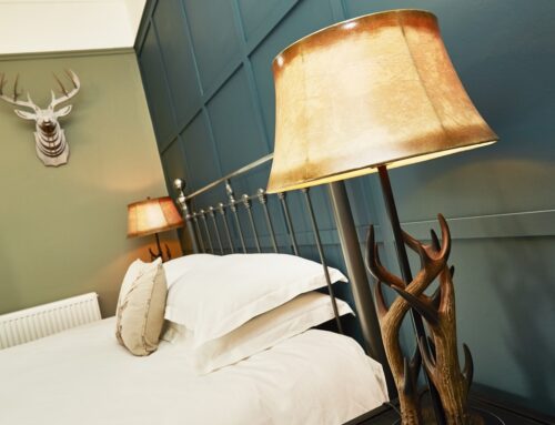 Opening Offer – Book Now and Save